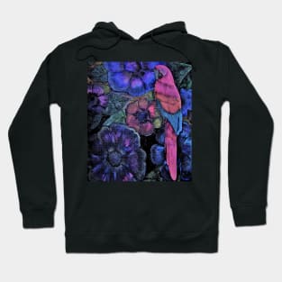 DART TROPICAL MACAW DECO DESIGN EXOTIC ART POSTER PRINT Hoodie